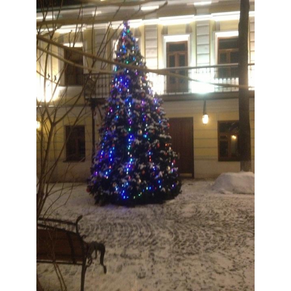 Ресторанный сервис бронирования столиков menu-rest.com - Интерьер ресторана "Aoduvan"