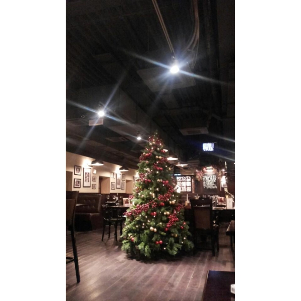 Ресторанный сервис бронирования столиков menu-rest.com - Интерьер ресторана "GOODMAN"