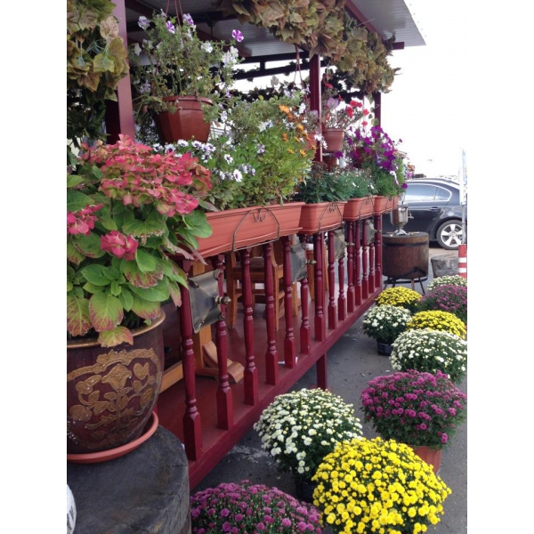 Ресторанный сервис бронирования столиков menu-rest.com - Интерьер ресторана "Старый Баку"