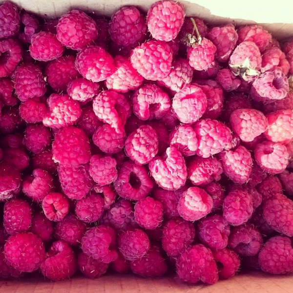 Ресторанный сервис бронирования столиков menu-rest.com - Интерьер ресторана "Старый Баку"