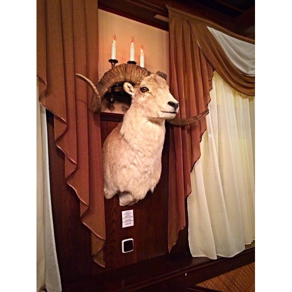 Ресторанный сервис бронирования столиков menu-rest.com - Интерьер ресторана "Пивная Ассамблея"