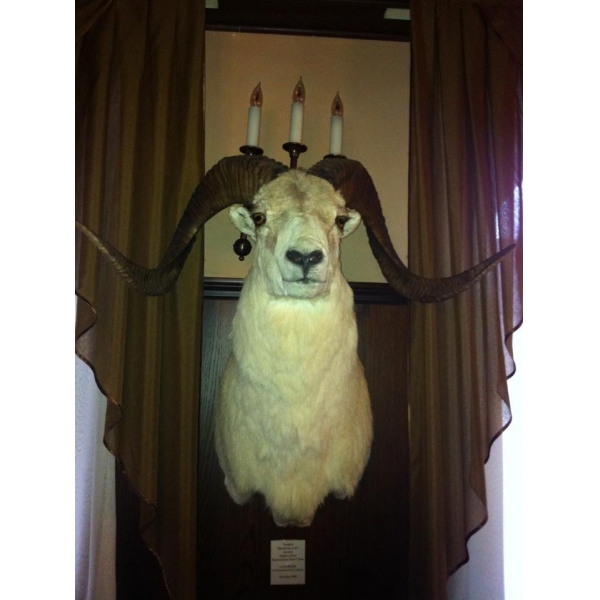 Ресторанный сервис бронирования столиков menu-rest.com - Интерьер ресторана "Пивная Ассамблея"