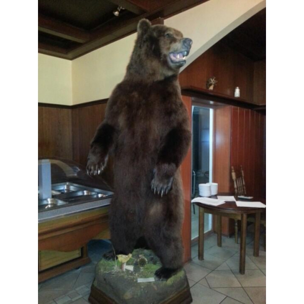 Ресторанный сервис бронирования столиков menu-rest.com - Интерьер ресторана "Пивная Ассамблея"