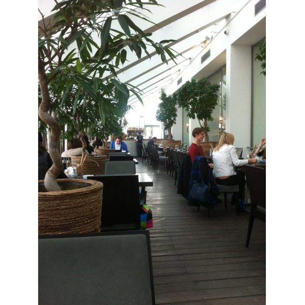 Ресторанный сервис бронирования столиков menu-rest.com - Интерьер ресторана "Have a Nice Day"