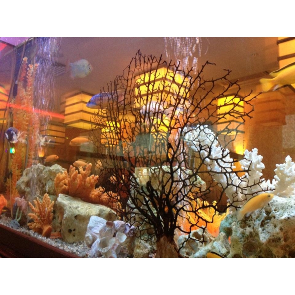 Ресторанный сервис бронирования столиков menu-rest.com - Интерьер ресторана "Нияма"