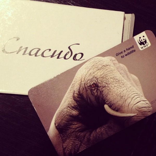 Ресторанный сервис бронирования столиков menu-rest.com - Интерьер ресторана "T.G.I. Friday`s"