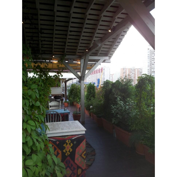 Ресторанный сервис бронирования столиков menu-rest.com - Интерьер ресторана "Чайхона №1"