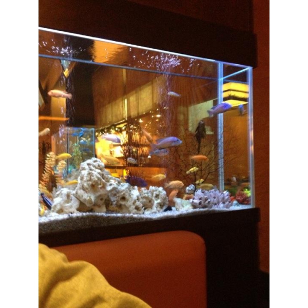 Ресторанный сервис бронирования столиков menu-rest.com - Интерьер ресторана "Нияма"