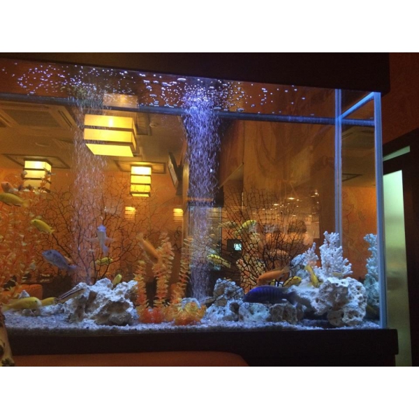 Ресторанный сервис бронирования столиков menu-rest.com - Интерьер ресторана "Нияма"