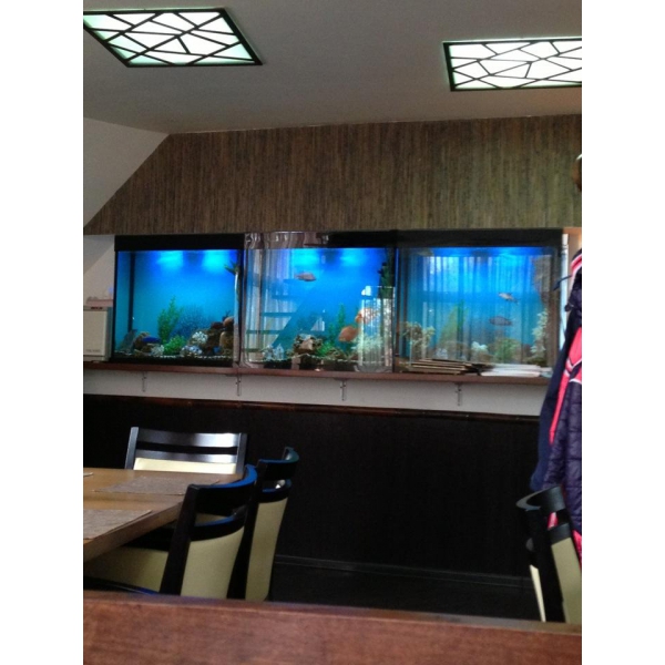 Ресторанный сервис бронирования столиков menu-rest.com - Интерьер ресторана "Инари"