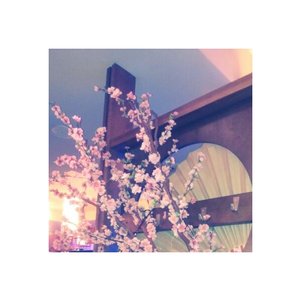 Ресторанный сервис бронирования столиков menu-rest.com - Интерьер ресторана "Якитория"