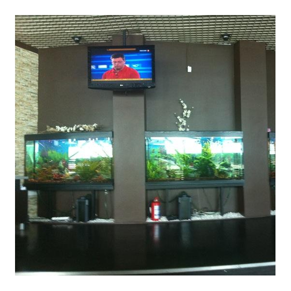 Ресторанный сервис бронирования столиков menu-rest.com - Интерьер ресторана "Якитория"