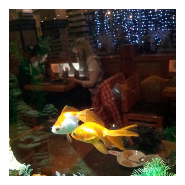 Ресторанный сервис бронирования столиков menu-rest.com - Интерьер ресторана "Якитория"